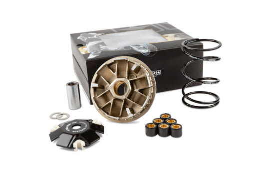 SATAGE6 VARIATOR (SPORT PRO) - PEUGEOT