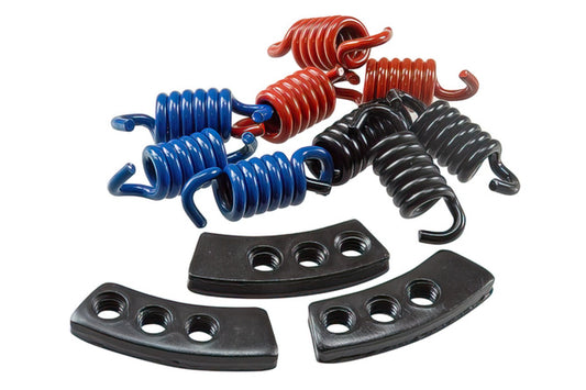 MALOSSI CLUTCH SPRINGS (MHR) RACING