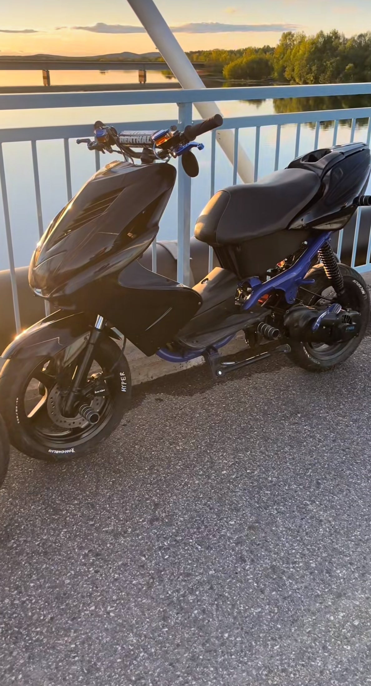 Stuntpegs