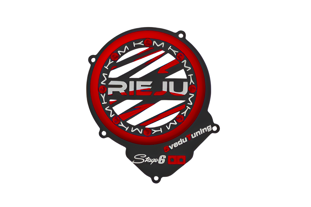 CUSTOM TÄNDNINGSKÅPA - RIEJU AM6 SveduTuning